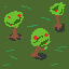 apples