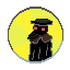 doctor shiny