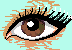 an eye