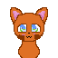 alice the cat