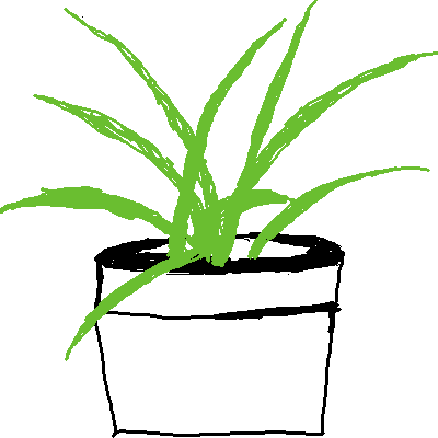 house plant