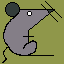 rat_003