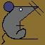 rat_007