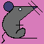 rat_009