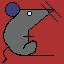 rat_010