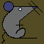 rat_015