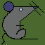 rat_016