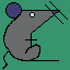 rat_017
