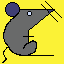 rat_019