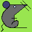 rat_020