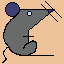 rat_021