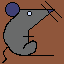 rat_024