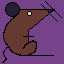 rat_031