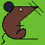 rat_044