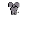 elephant behind
