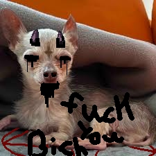 fuck you