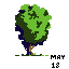 tree1