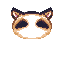 face_rac