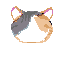 face_short