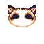 face_rac