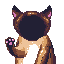 cat_shm