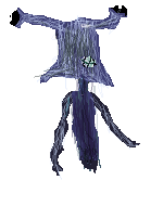 tim