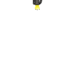 im