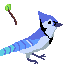 blue jay mage