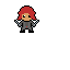 black widow