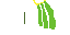 elytra