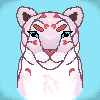 lioness