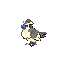 pidedy