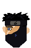 ninja