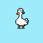cool duck