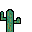 cactii