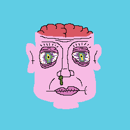 zhopnik1