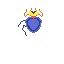 wimer scarab