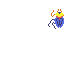 wimer scarab