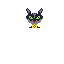 wimer cat