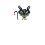 wimer cat