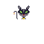wimer cat