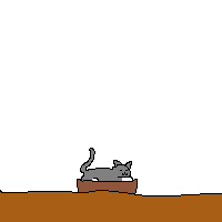 cat_2