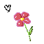Sprite #238584