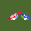 love birds