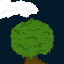 first tree