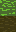 Sprite #239185