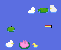 pond