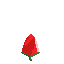 red pepper