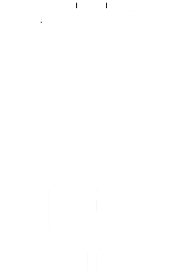 blank