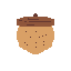 acorn